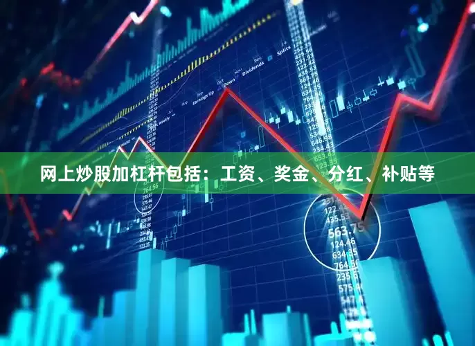 网上炒股加杠杆包括：工资、奖金、分红、补贴等