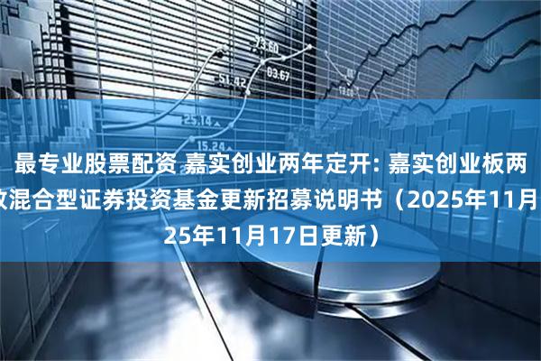 最专业股票配资 嘉实创业两年定开: 嘉实创业板两年定期开放混合型证券投资基金更新招募说明书（2025年11月17日更新）