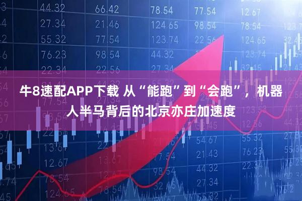牛8速配APP下载 从“能跑”到“会跑”，机器人半马背后的北京亦庄加速度